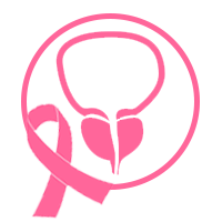 Prostate